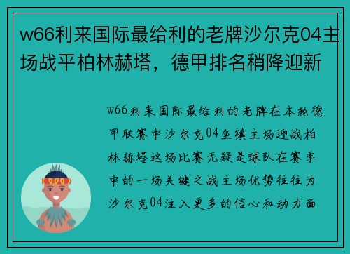 w66利来国际最给利的老牌沙尔克04主场战平柏林赫塔，德甲排名稍降迎新挑战