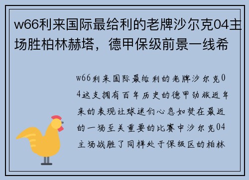 w66利来国际最给利的老牌沙尔克04主场胜柏林赫塔，德甲保级前景一线希望再生 - 副本